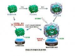 澳门金沙网址：通过捕捉目标物与酶之间反应所产生的信号