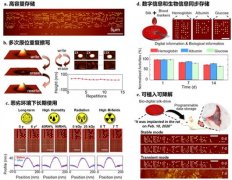 澳门金沙网址：国际首块基于天然生物蛋白的硬盘存储器诞生